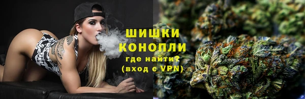 дурь Арсеньев