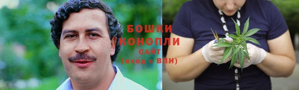 дурь Арсеньев