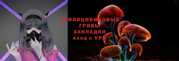 дурь Арсеньев