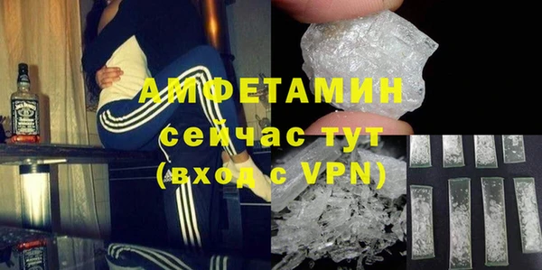 сатива Аркадак