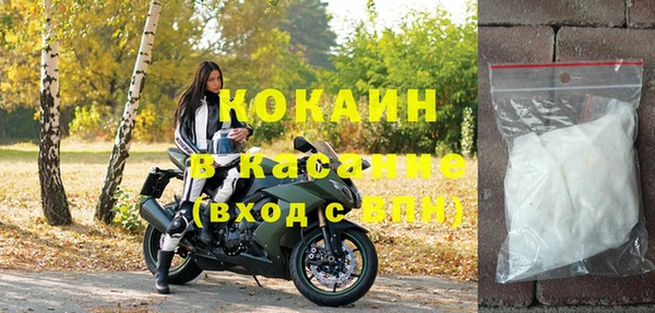 сатива Аркадак