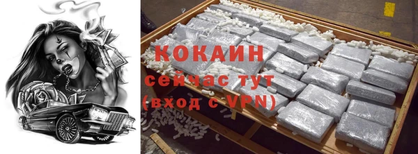 сатива Аркадак