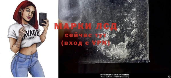 сатива Аркадак