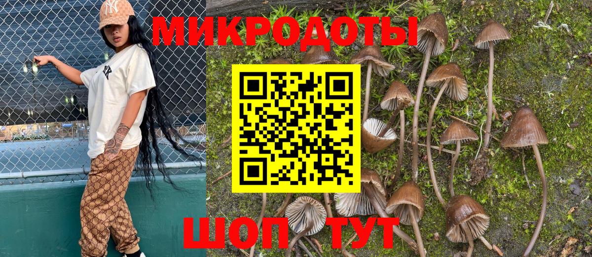 Галлюциногенные грибы Magic Shrooms Черняховск