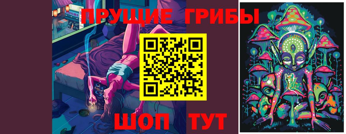 Галлюциногенные грибы MAGIC MUSHROOMS  Галлюциногенные грибы Psilocybe  Вход с VPN  Черняховск 
